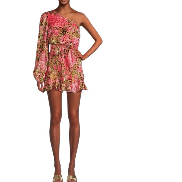 Hemant & Nandita • Pakhi Burnout Floral Velvet One Shoulder Minidress - Picture 1 of 13